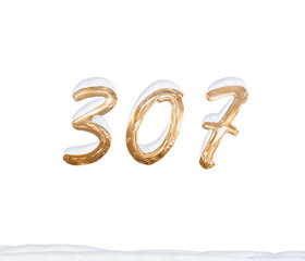 Gold Number 307 with Snow on white background