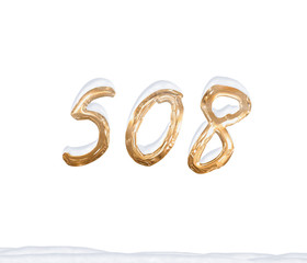 Gold Number 508 with Snow on white background