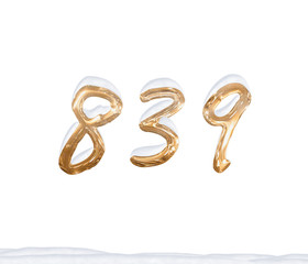 Gold Number 839 with Snow on white background