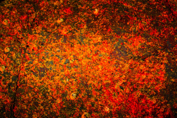 Scary  stone concept background from phuket Thailand