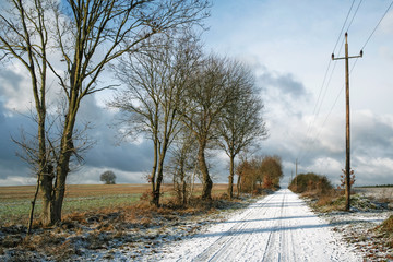 Winter landscape in december in Lüneburg Heath, Germany