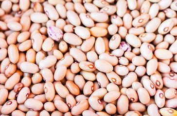White beans background (Phaseolus) – food for veggies
