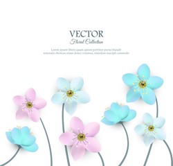 Vector floral collection poster with blue pink white flowers on stems. Beautiful abstract florals blooming for romantic decoration wedding marriage or dating card vintage design