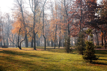 View of autumn park
