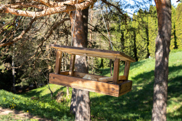 A wooden bird feeder on a tree in a spring park.