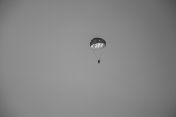  Black and white picture jump of paratrooper with white parachute, Military parachute jumper in the...