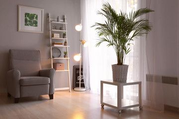 Decorative Areca palm on table in interior of room