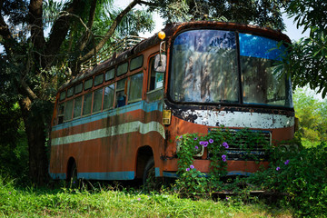 Verschrotteter Bus in der Natur