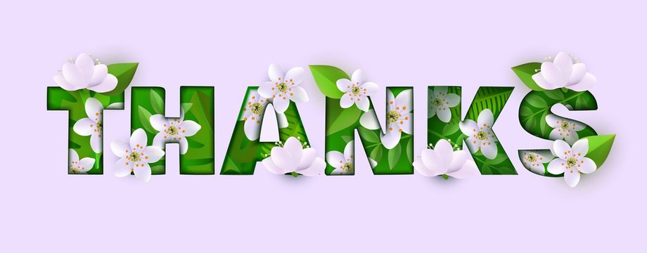 Vector thanks inscription with green leaves, meadow abstract white flowers on pink background. Store, shop summer spring sale gratitude poster template for discounts campaign floral element