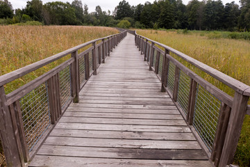 Holzbrücke durch ein Sumpfgebiet in der Nähe von Lidköping in Schweden.
