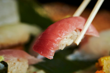 Fresh tuna sushi 
