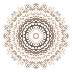 Modern Decorative Cicle Shapes. Floral mandala. vector illustration.