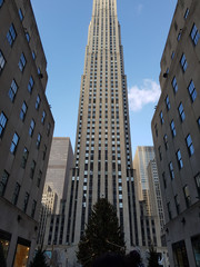 rockefeller plaza towering skyscraper