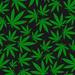 Cannabis, marijuana background. Vector