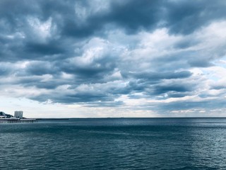 Obraz premium Black Sea 🐠