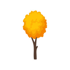 Small autumn tree with yellow-orange leaves. Young forest plant. Nature theme. Flat vector icon