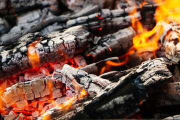 Smoldering coals from the fire. A fading bonfire. Close-up.