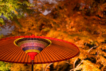 六義園 ライトアップされた紅葉と野点傘