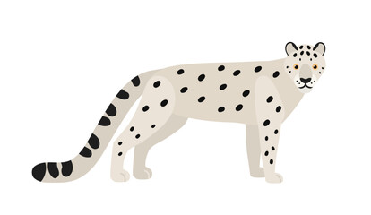 Snow leopard or ounce isolated on white background © Good Studio