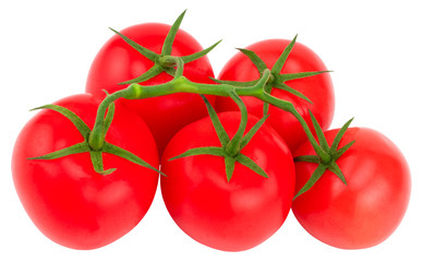 Tomato. Tomato branch. Tomatoes isolated on white. With clipping path