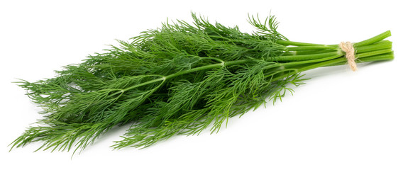 bunch fresh green dill isolated on white background
