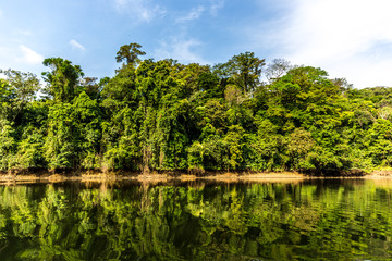 Fototapeta premium Amazing river reflection in Panama