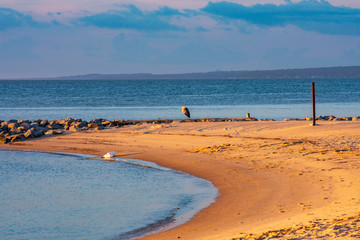 beach at sunset