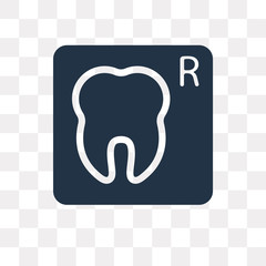 X ray vector icon isolated on transparent background, X ray  transparency concept can be used web and mobile