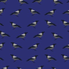 Fototapeta premium Seamless pattern with crows on dark background. Backdrop with adorable city birds or avians. Colorful vector illustration in modern flat geometric style for wrapping paper, wallpaper, textile print.