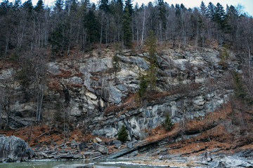 view forest mountain and river