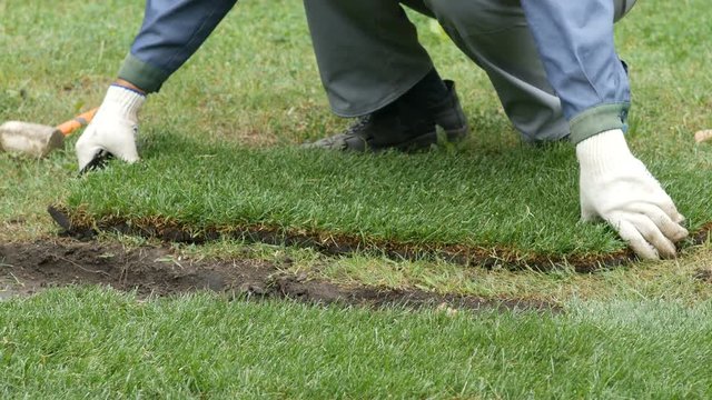 male worker replacing a piece of lawn grass