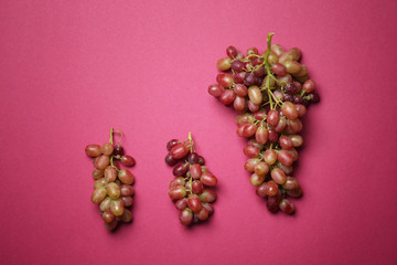 Sweet grapes on color background