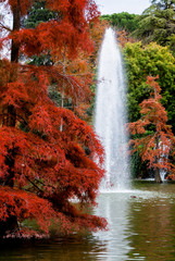 paisaje vertical de fuente con árboles rojos y verdes en el lago