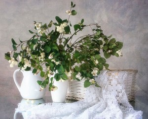 Still life with bouquet of snow-berry branch