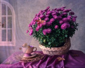 Still life with bouquet of purple chrysanthemums