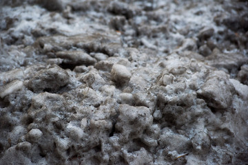 Pile of dirty snow
