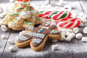 Handmade gingerbread cookies with christmas tree branches