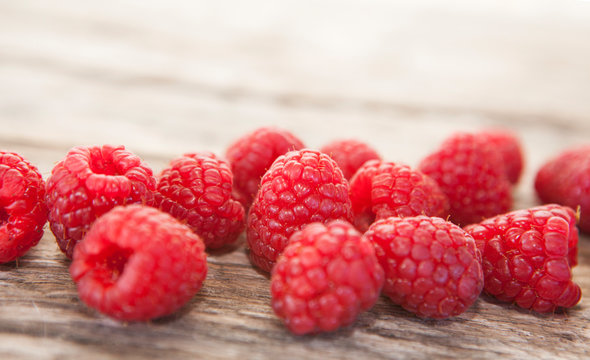 Collors Raspberry