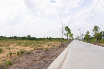 Concrete road with little plant and lighing pole