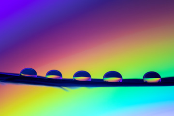 Tropfen auf Feder mit Spektralfarben