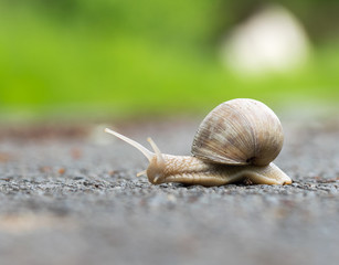 Schneckentempo auf deutschen Straßen