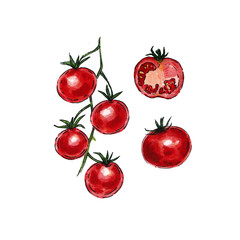 Watercolor tomato set