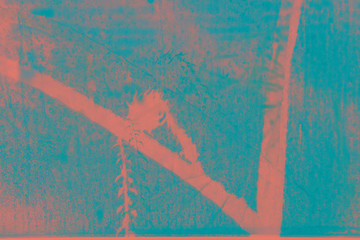 Fototapeta na wymiar Tropical textured surface in color of living coral