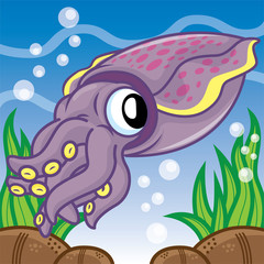 Obraz premium Squid swimming cartoon, cartoon cute, animal cute