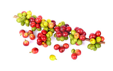 Fresh Coffee bean on white background