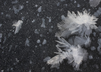 frozen snowflake dark white background 