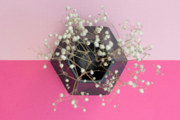 Grey polygonal vase with white gypsophila flowers on the geometric background of fashion pink and magenta bright colors, soft focus. Minimal concept pattern. Flat lay, top view, layout design