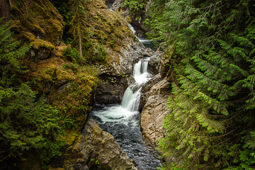 peacefull long exposer of twin tails waterfall in forest