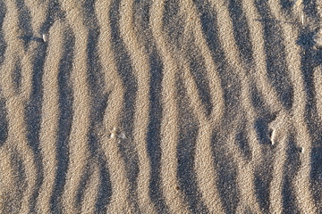 Fototapeta na wymiar Texture background. Frozen frost-covered sand
