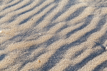 Fototapeta na wymiar Texture background. Frozen frost-covered sand